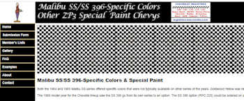 Special Paint