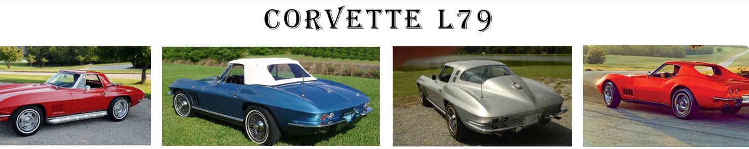 vette_banner_image