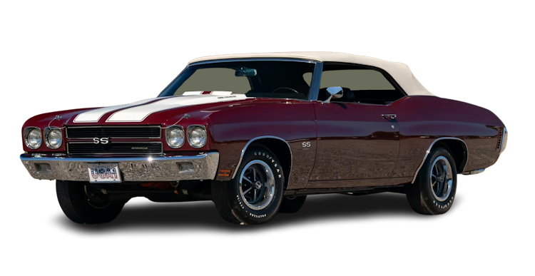 � LS6 REGISTRY - All Rights Reserved