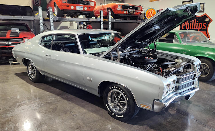 � LS6 REGISTRY - All Rights Reserved