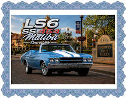 LS6 Prints