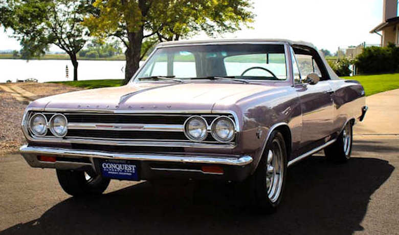 MALIBU SS REGISTRY © - All Rights Reserved