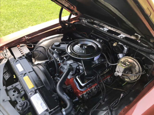 SS REGISTRY